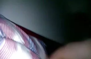 猫吸入外部的体肛门分体性感的